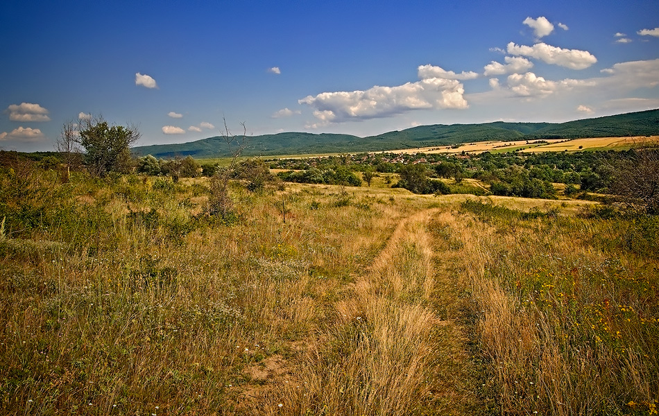 photo "Summer walk" tags: landscape, summer