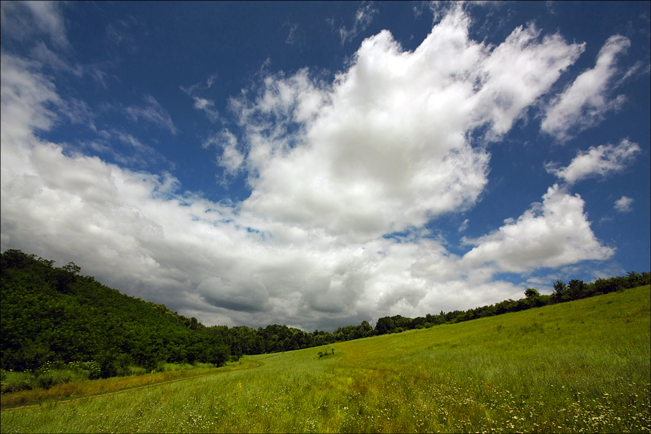 фото "June sky" метки: пейзаж, лето, небо, облака