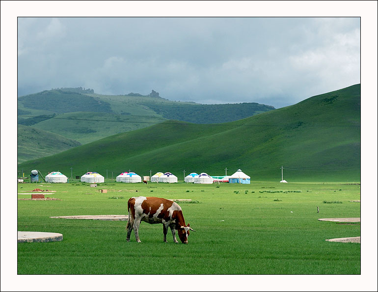 фото "Grassland-1" метки: пейзаж, лето