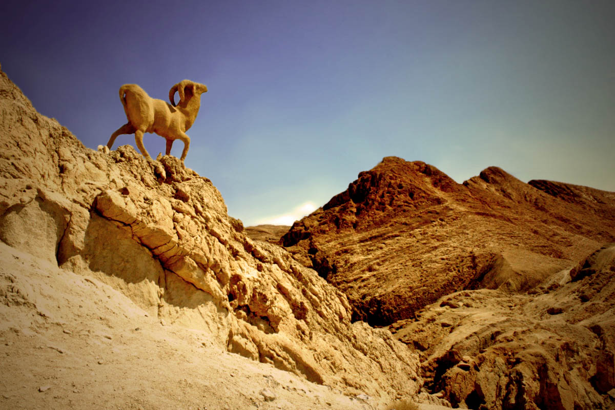 photo "Chebika_mountain oasis" tags: landscape, travel, Africa, mountains