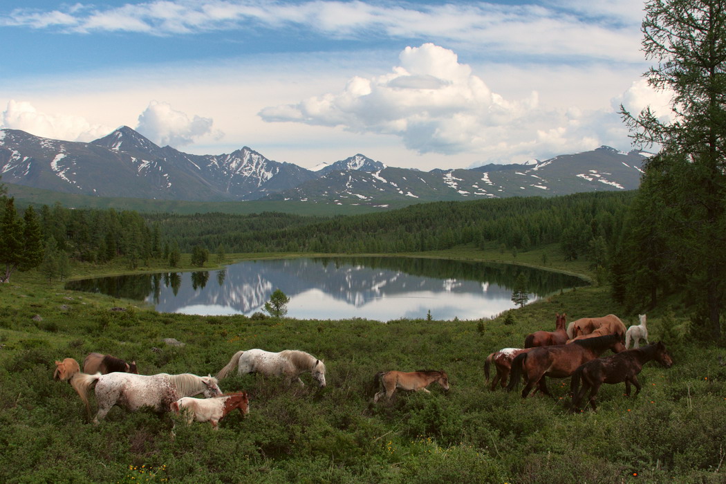 photo "***" tags: landscape, mountains, summer