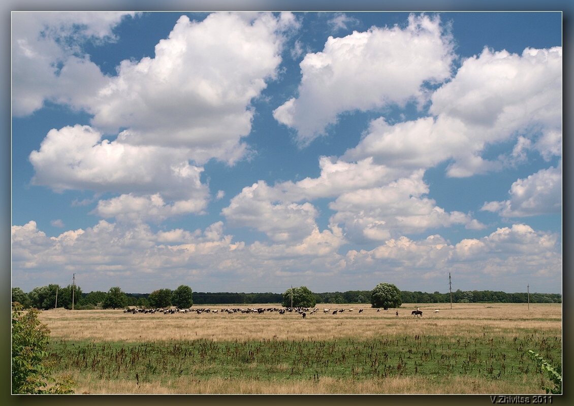 photo "***" tags: landscape, summer