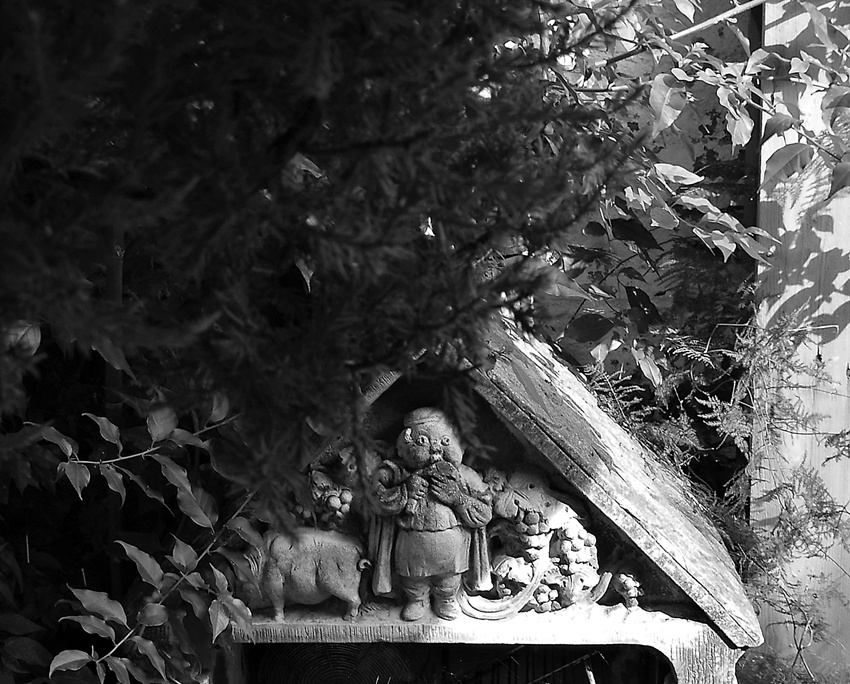 photo "***" tags: fragment, black&white, 