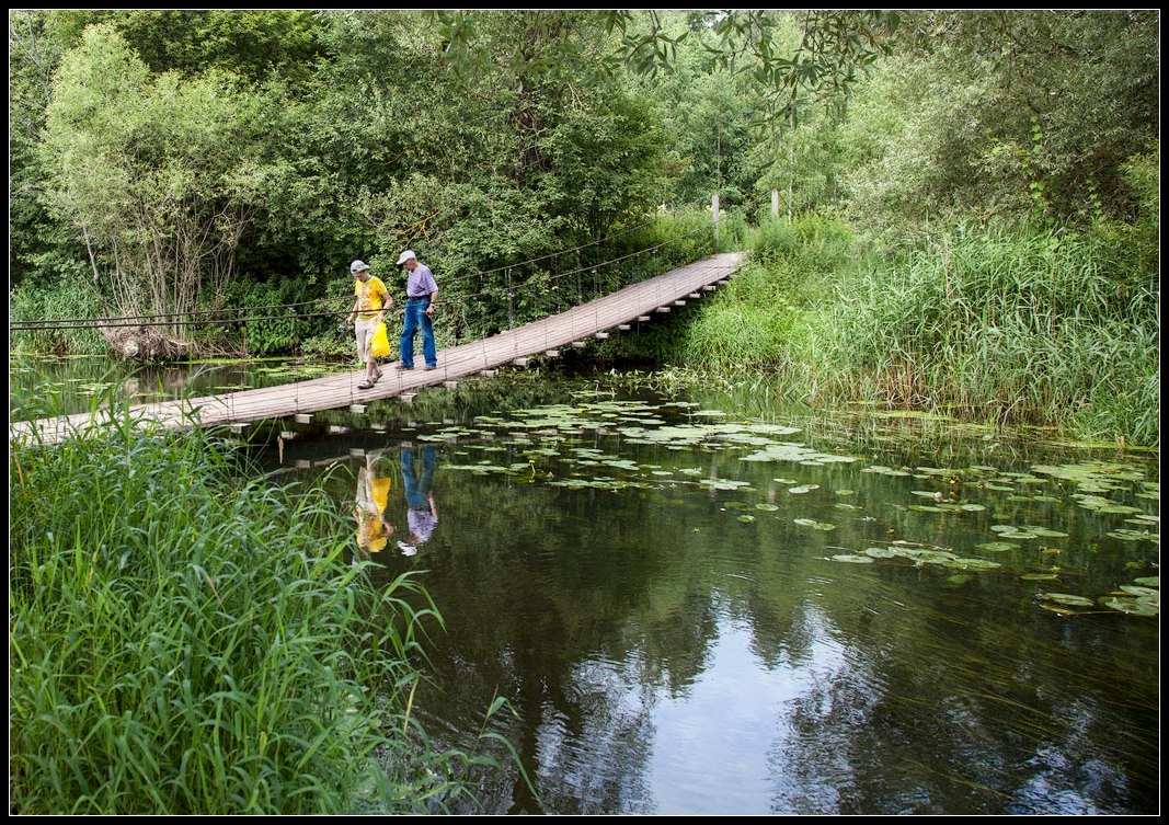 photo "bridge" tags: landscape, summer, water