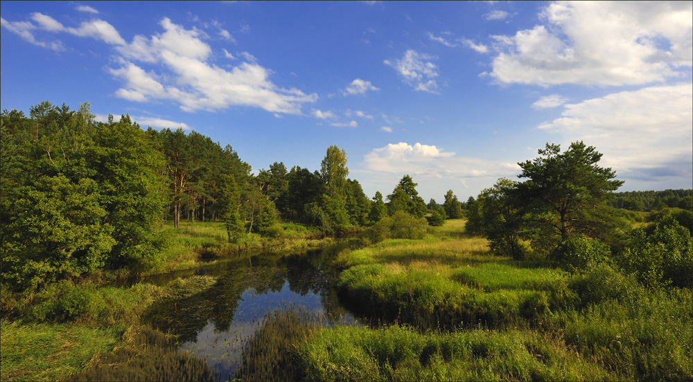 photo "***" tags: landscape, summer