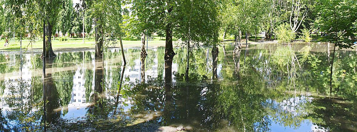 photo "***" tags: city, panoramic, 
