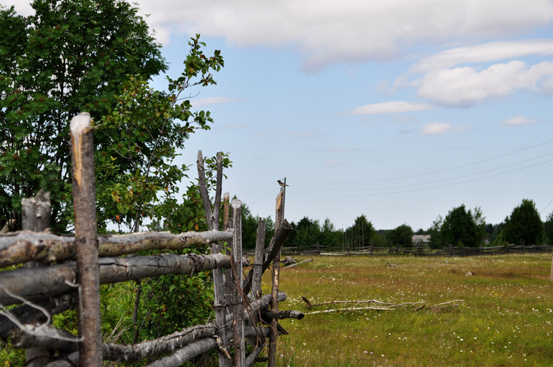 photo "***" tags: landscape, summer
