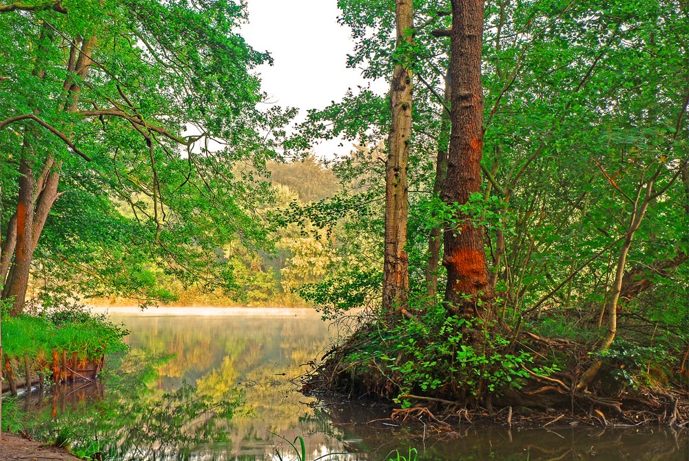 photo "My silent place...." tags: landscape, sunset, water
