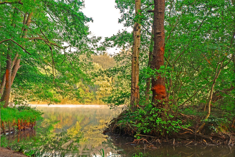 фото "My silent place...." метки: пейзаж, вода, закат