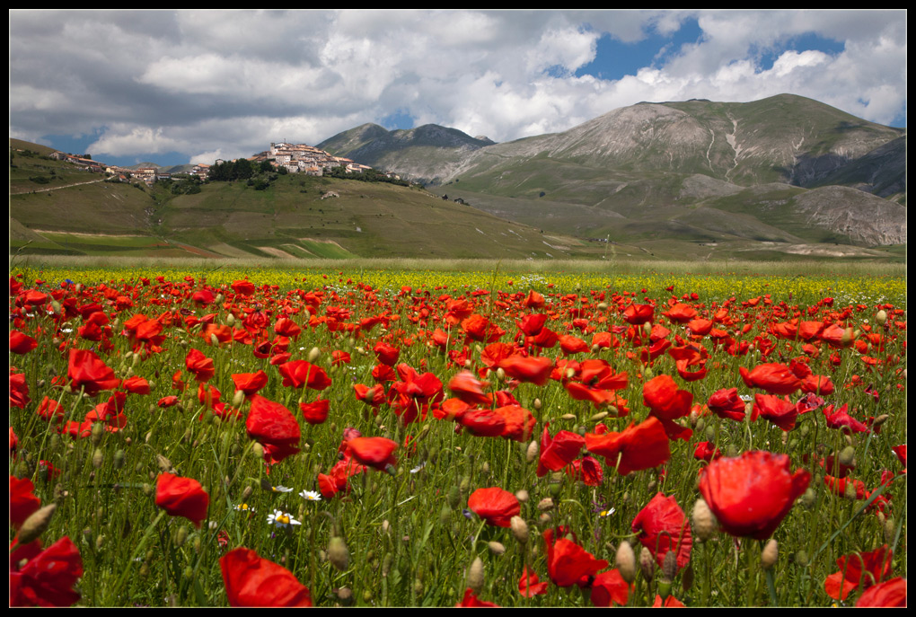 photo "Colourland" tags: landscape, summer