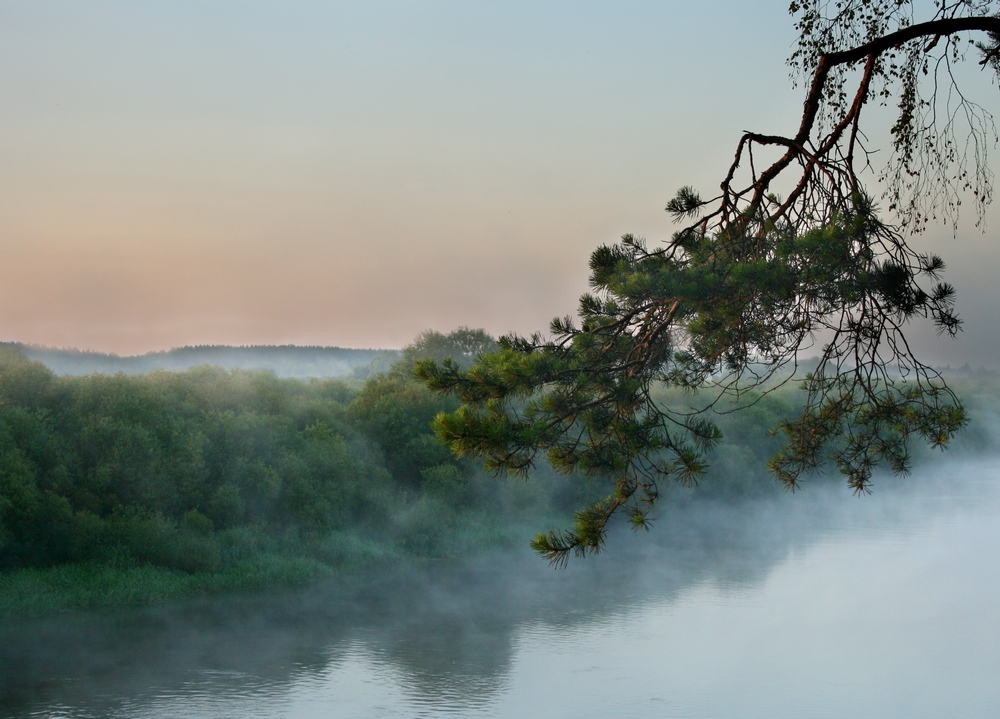 фото "Утро" метки: пейзаж, вода, лето