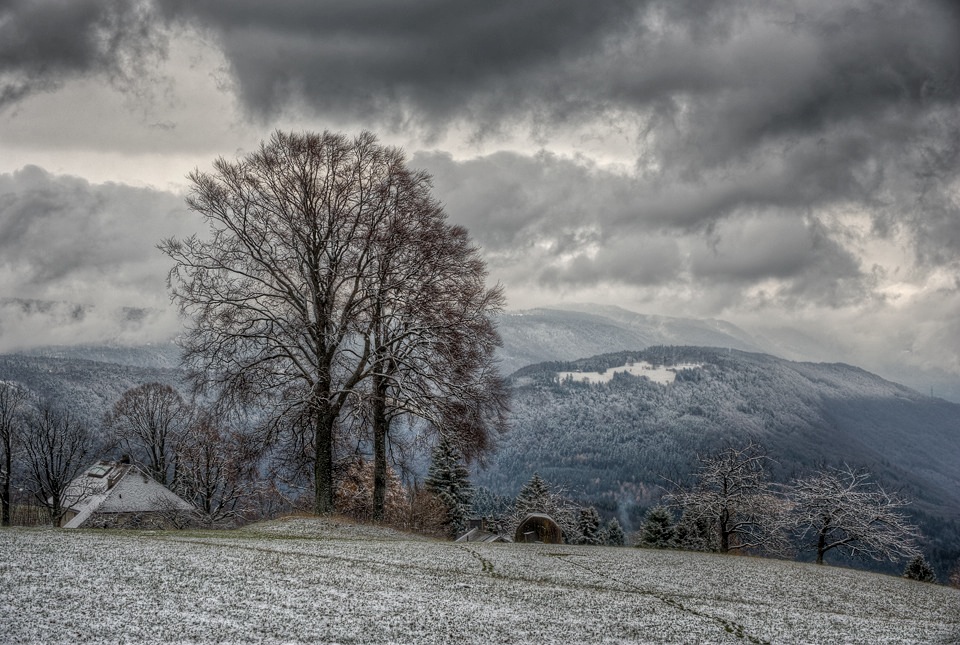 photo "Winter" tags: landscape, winter