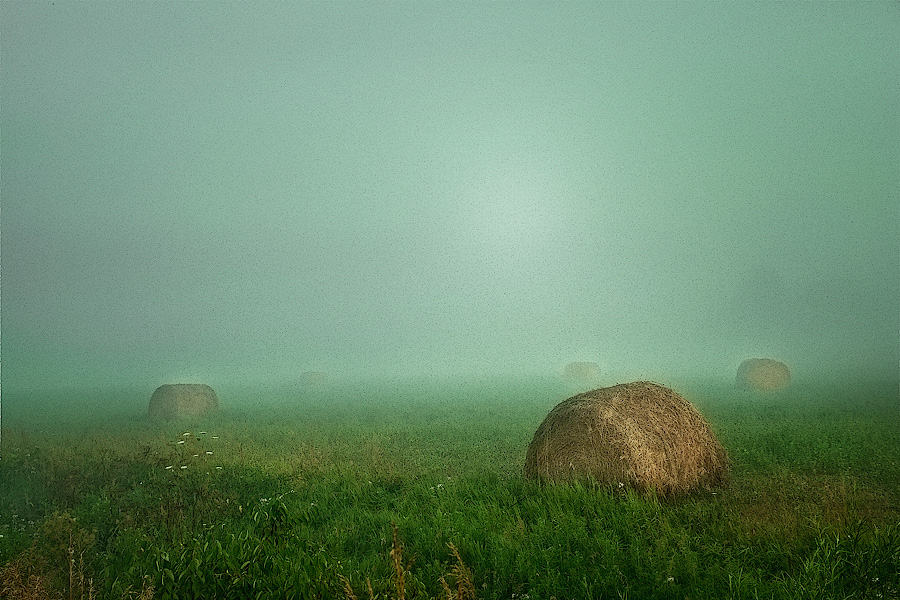 photo "Hay Bales" tags: landscape, summer