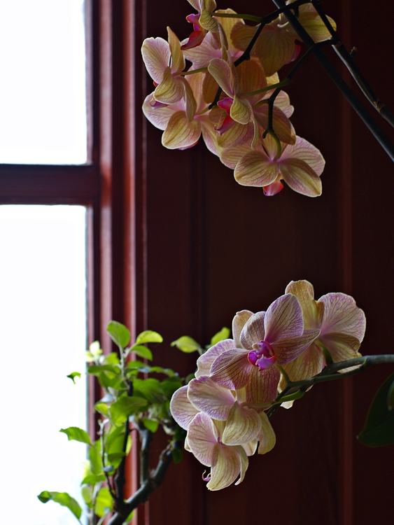 photo "***" tags: interior, 