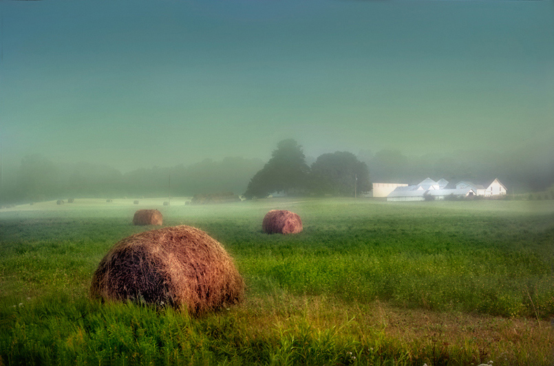 photo "Summer Morning" tags: landscape, summer