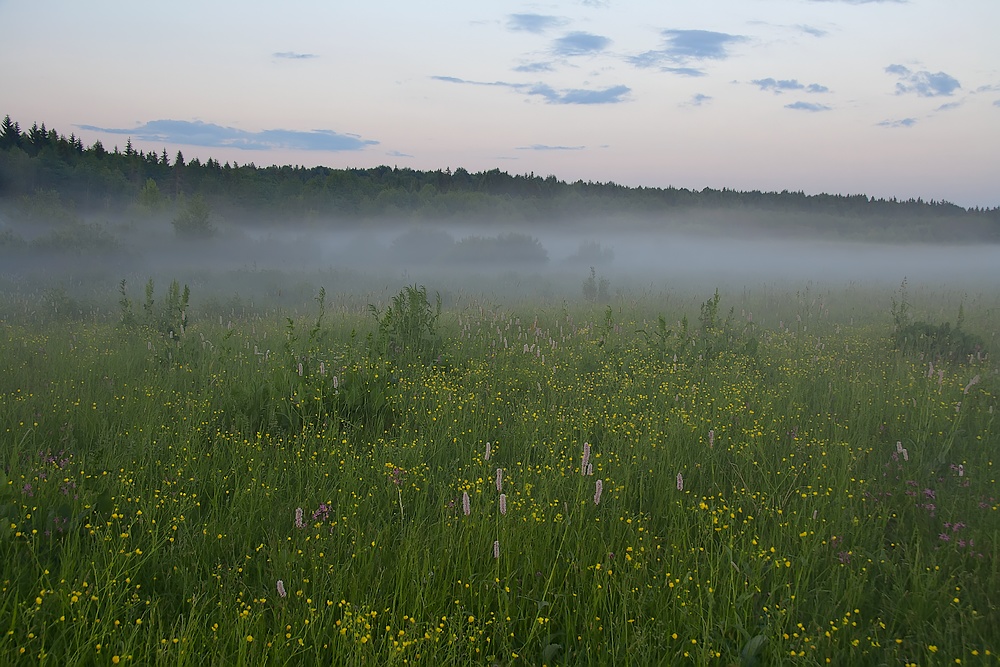 photo "***" tags: landscape, summer