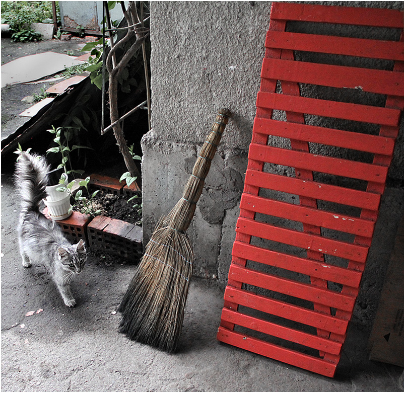 photo "***" tags: genre, 