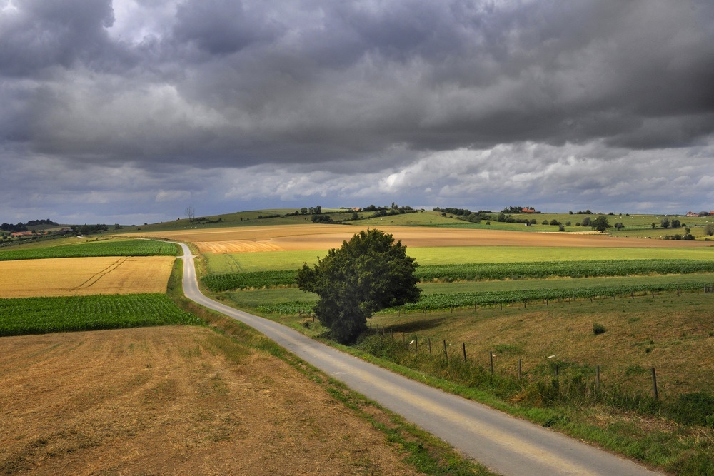 photo "The way to nowhere." tags: landscape, summer
