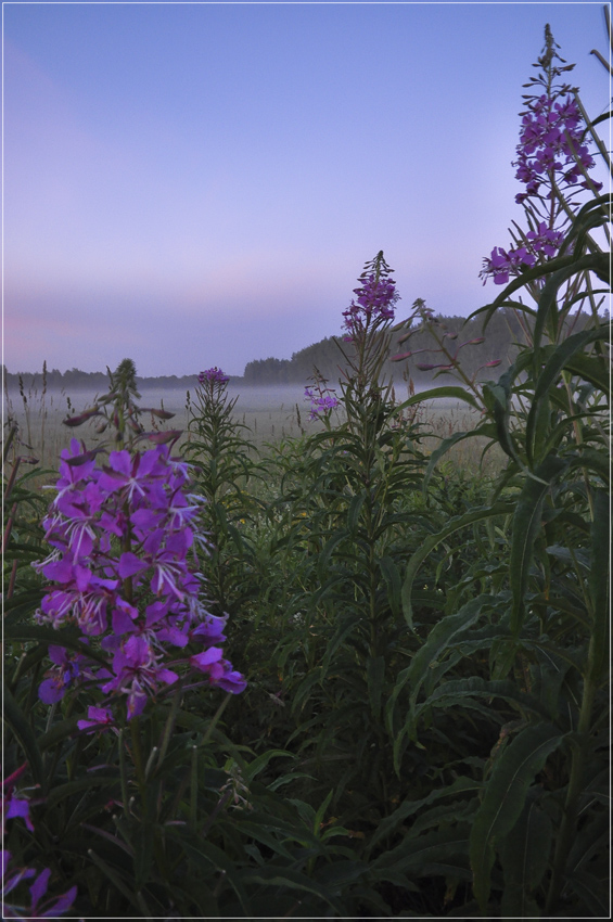 photo "***" tags: landscape, sunset