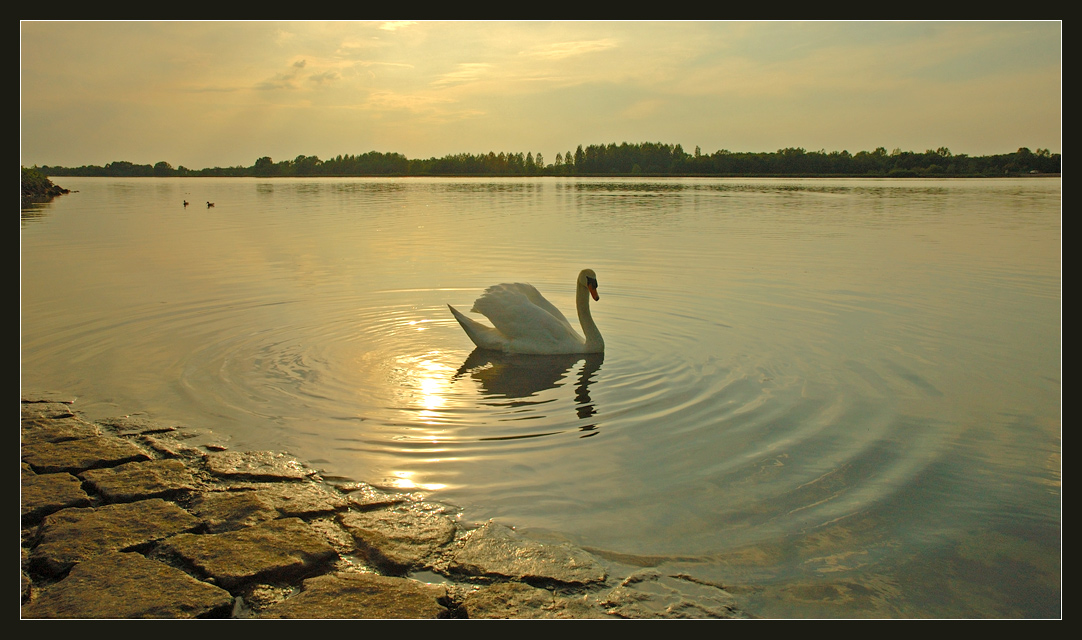photo "***" tags: landscape, water