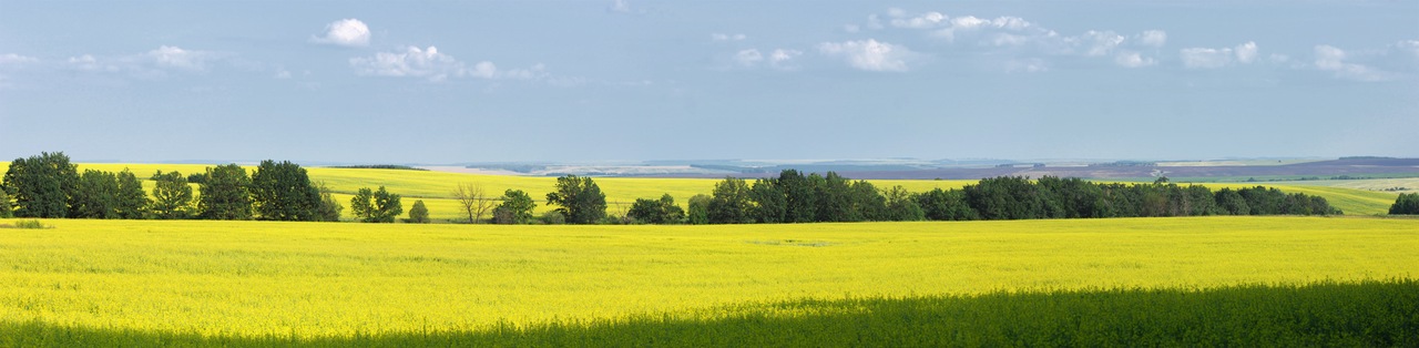 photo "***" tags: landscape, 