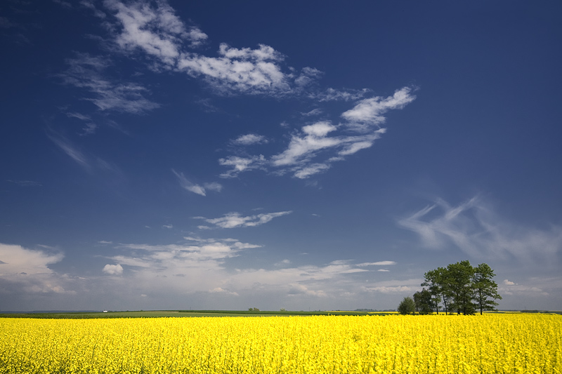 photo "***" tags: landscape, summer