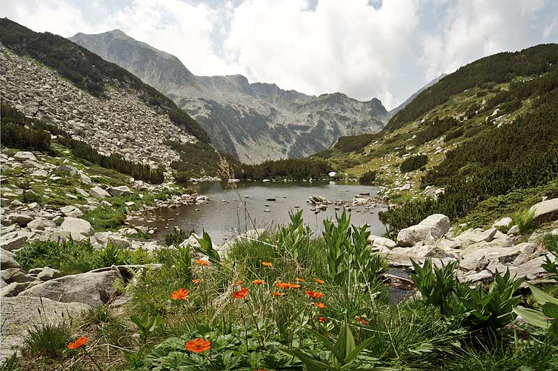 фото "Pirin" метки: пейзаж, горы