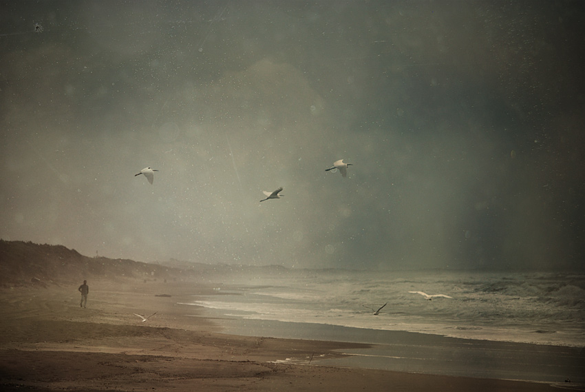 photo ".." tags: landscape, 
