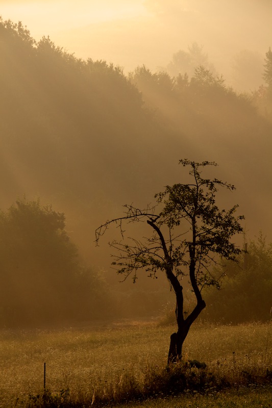 photo "Slovenian Summer" tags: landscape, nature, 