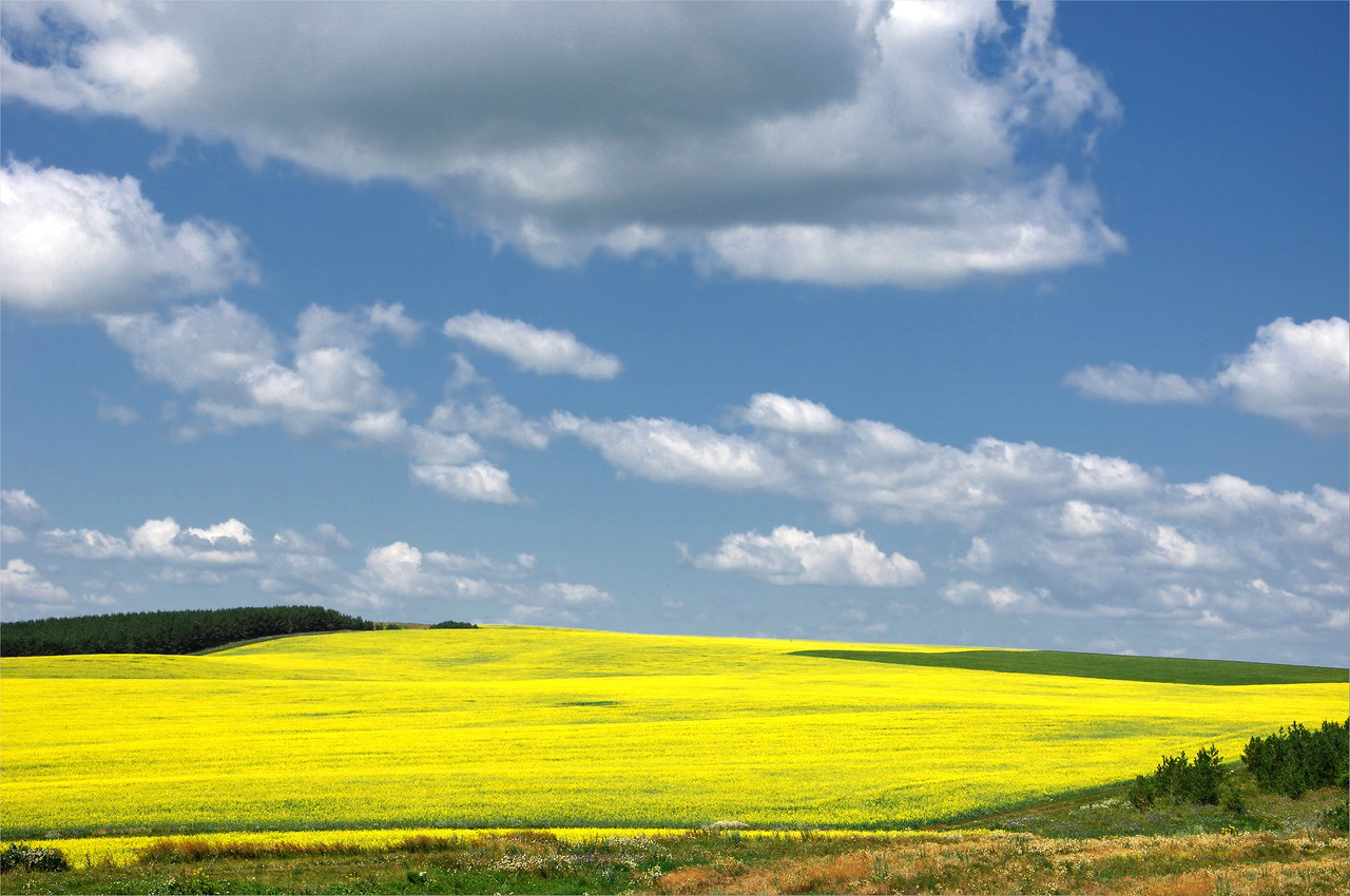 photo "***" tags: landscape, clouds