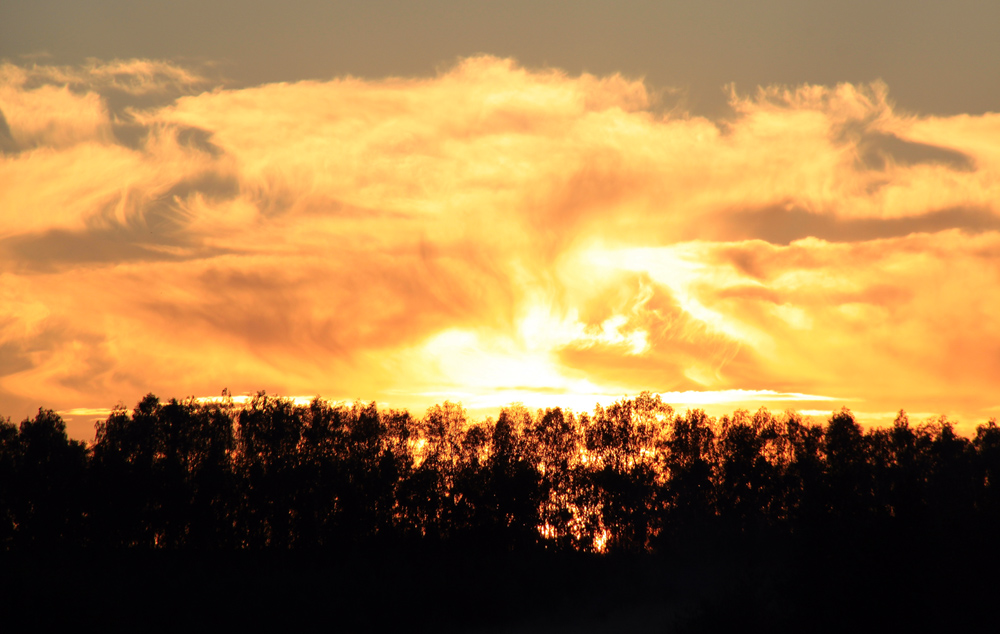 photo "***" tags: nature, landscape, sunset