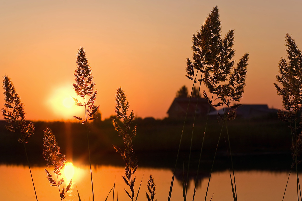 photo "***" tags: landscape, summer, sunset