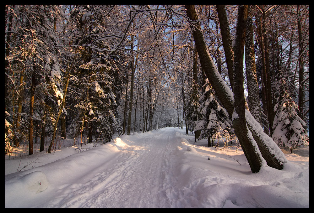фото "Глоток морозного воздуха" метки: пейзаж, зима