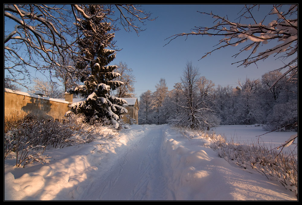 фото "Тепло на правой щеке" метки: пейзаж, зима