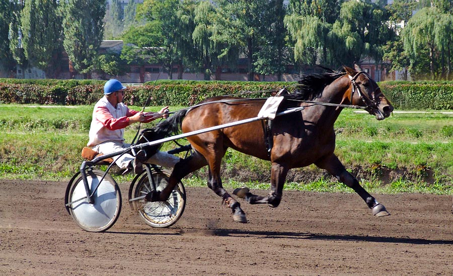 photo "***" tags: sport, 