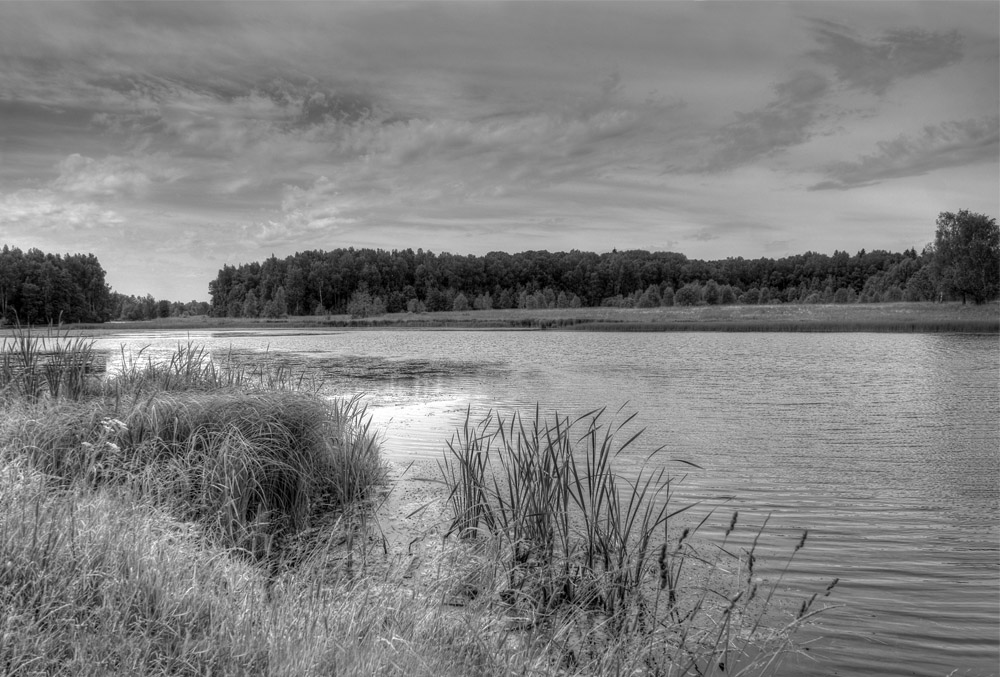 photo "***" tags: landscape, black&white, water