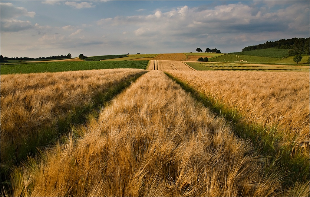 photo "***" tags: landscape, summer