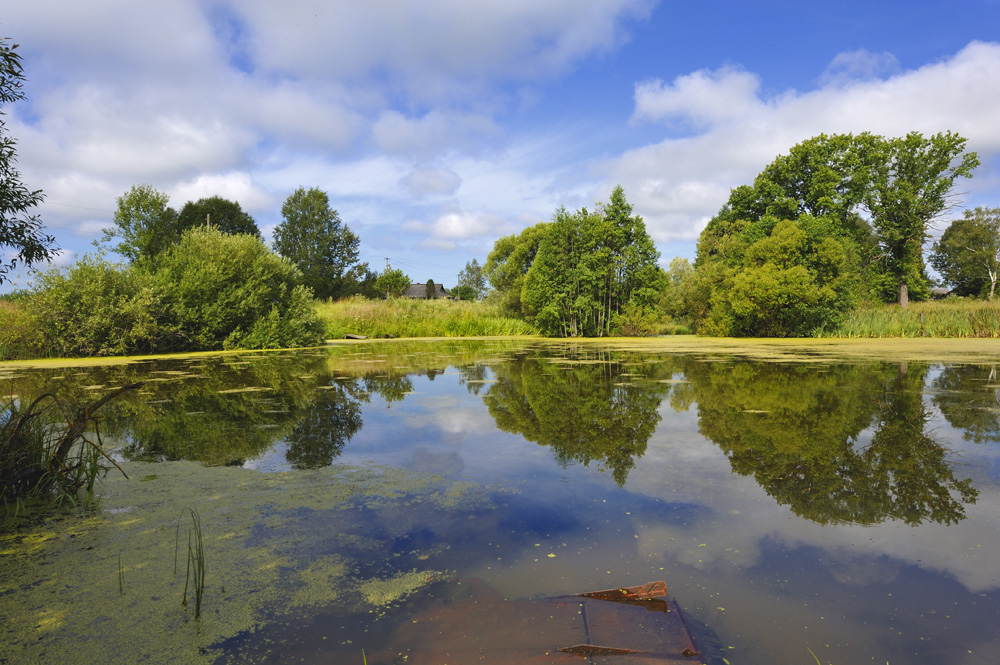 photo "***" tags: landscape, water