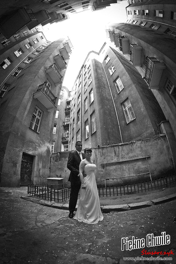 фото "wedding" метки: портрет, 