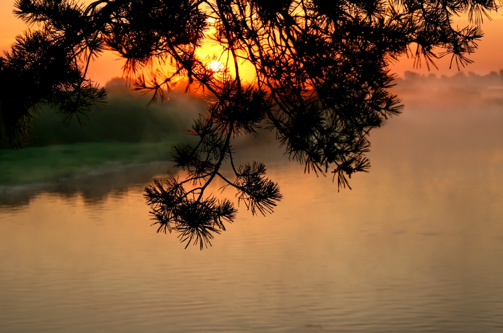 photo "***" tags: landscape, summer, sunset