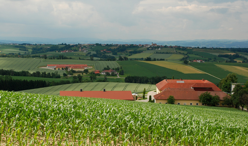 photo "Austria.  1" tags: landscape, 