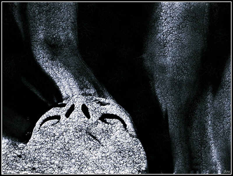 photo "Growing mental elephant skin" tags: abstract, black&white, 