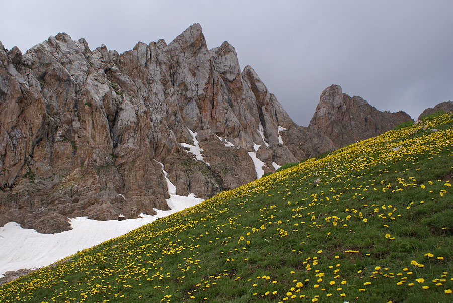 фото "Желтая полянка" метки: пейзаж, природа, горы, цветы