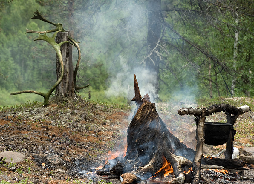 photo "Taiga camp" tags: landscape, forest