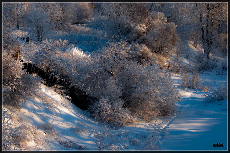 photo "***" tags: landscape, nature, winter