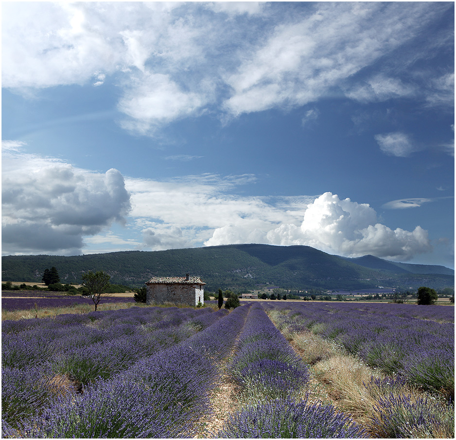 photo "Provence" tags: landscape, clouds, summer
