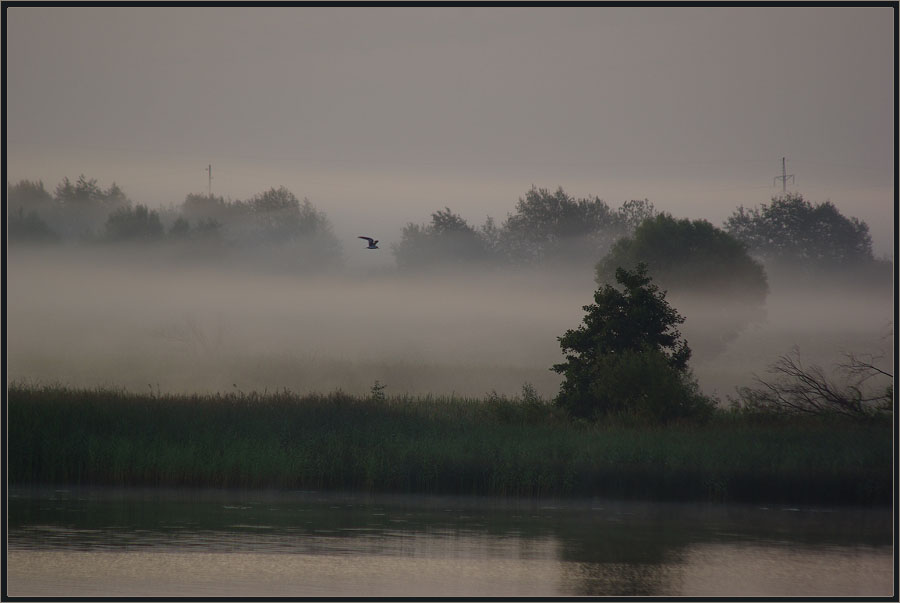 фото "Утро туманное" метки: пейзаж, вода, лето