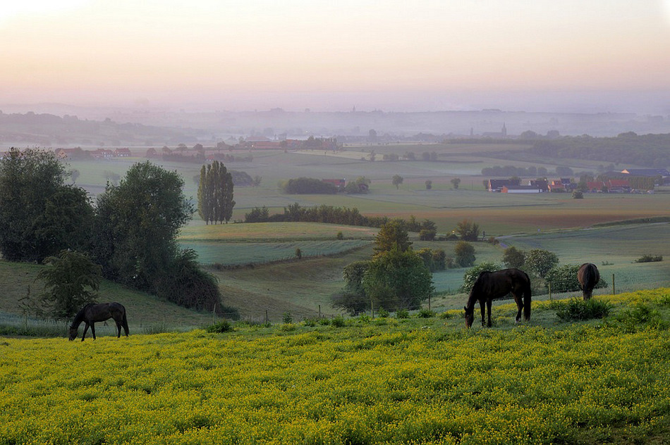 photo "***" tags: landscape, 