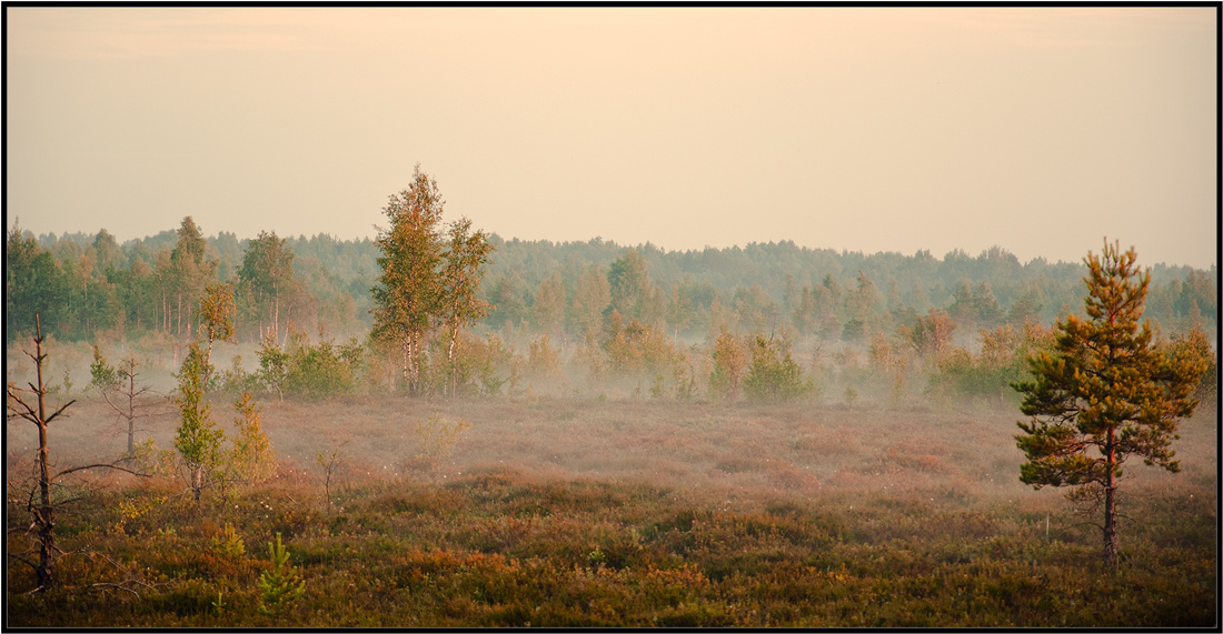 photo "***" tags: landscape, summer