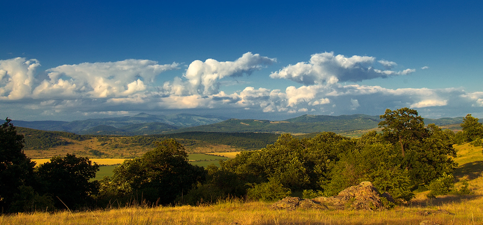 photo "July in the mountains" tags: landscape, summer